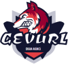 GEVURL Logo.png